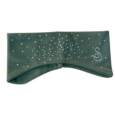 Bandeau Sagester 537 - MIC5 VERT